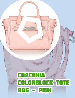 Coach makeup bag pink