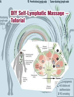 Lymph nodes massage near me